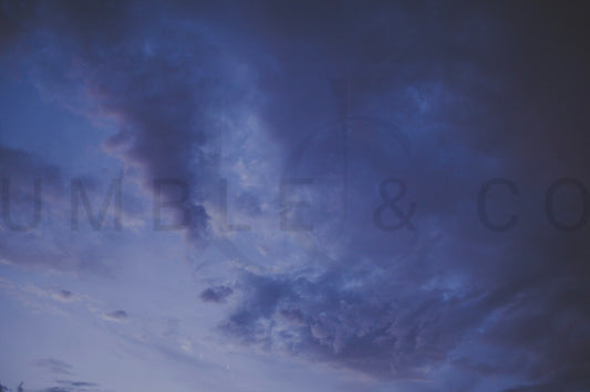 Brooding Blue