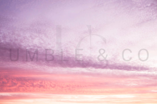 Cotton Candy