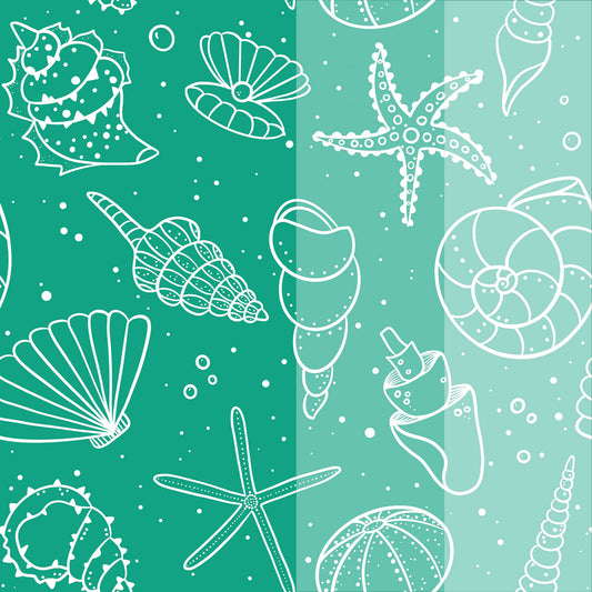 Seashells
