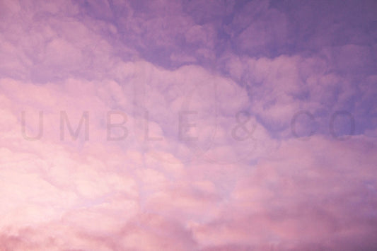 Skylit Dreams